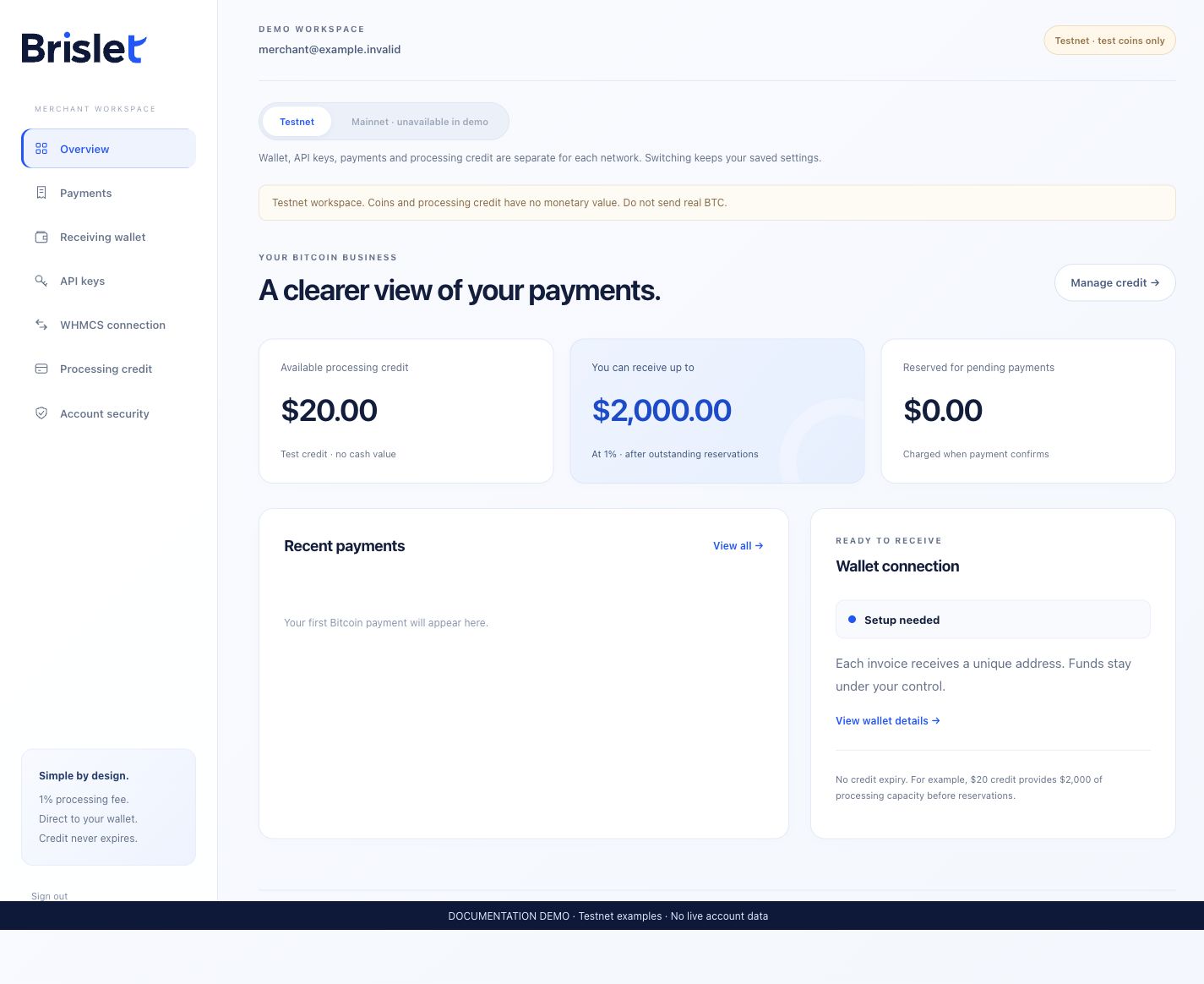 Brislet demo dashboard showing $20 test credit and $2,000 processing capacity